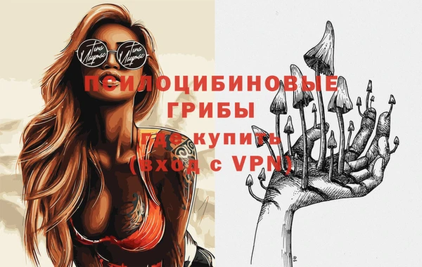винт Баксан