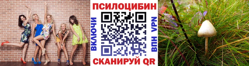 Галлюциногенные грибы Magic Shrooms  Чайковский 